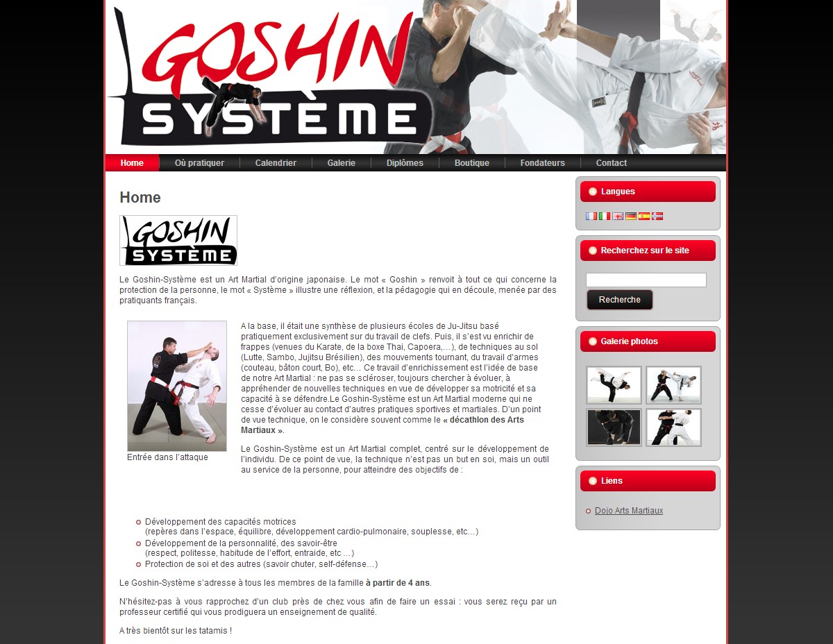 Goshin Système