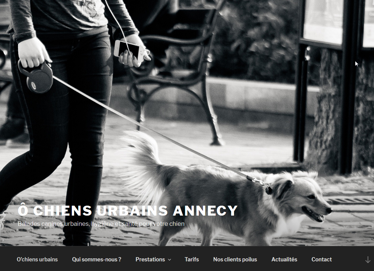 o chiens urbains garde et promenade de chiens à Annecy