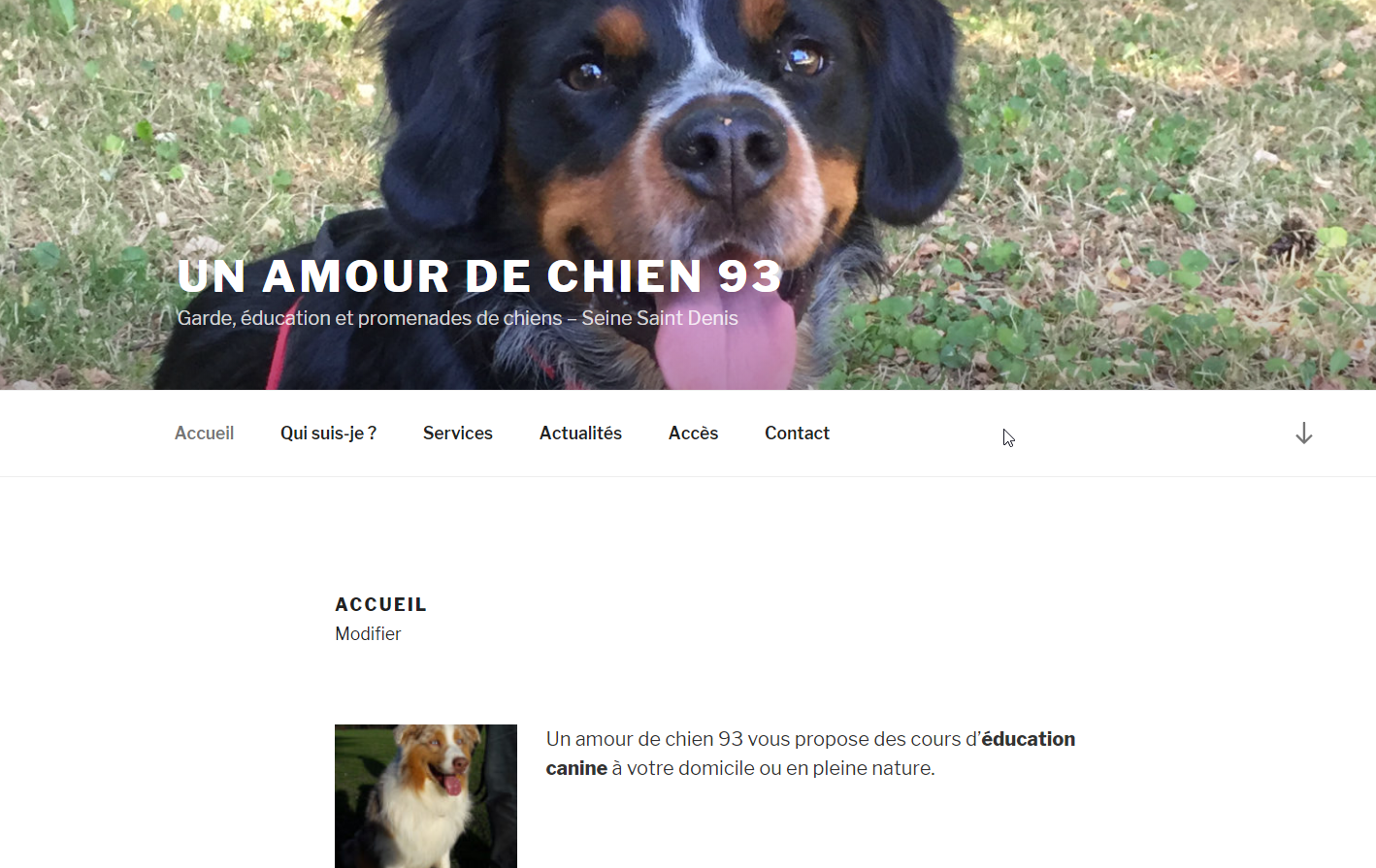 ref-amour de chien-educateur canin seine saint denis